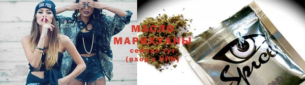 индика Волоколамск
