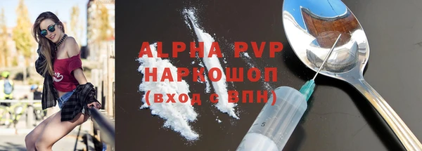 индика Волоколамск