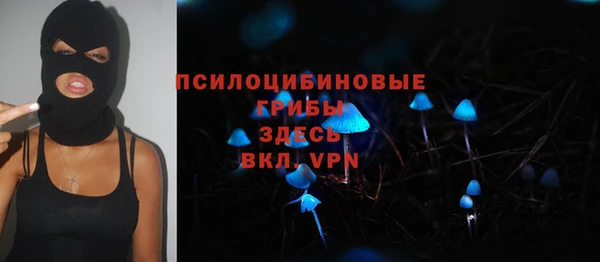 индика Волоколамск