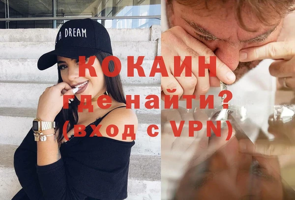 индика Волоколамск