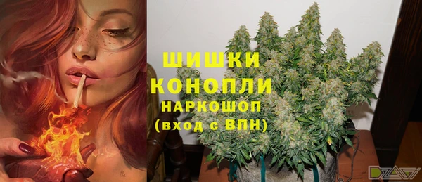 индика Волоколамск