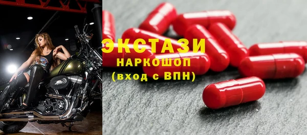 индика Волоколамск