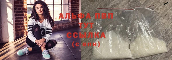 индика Волоколамск