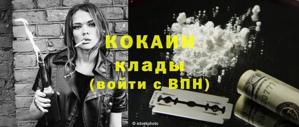 индика Волоколамск