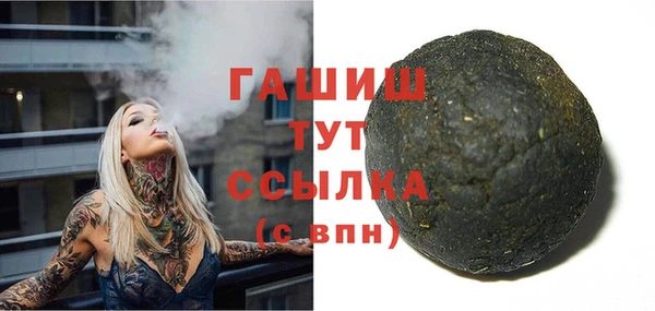 индика Волоколамск