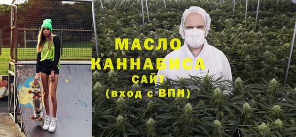 индика Волоколамск